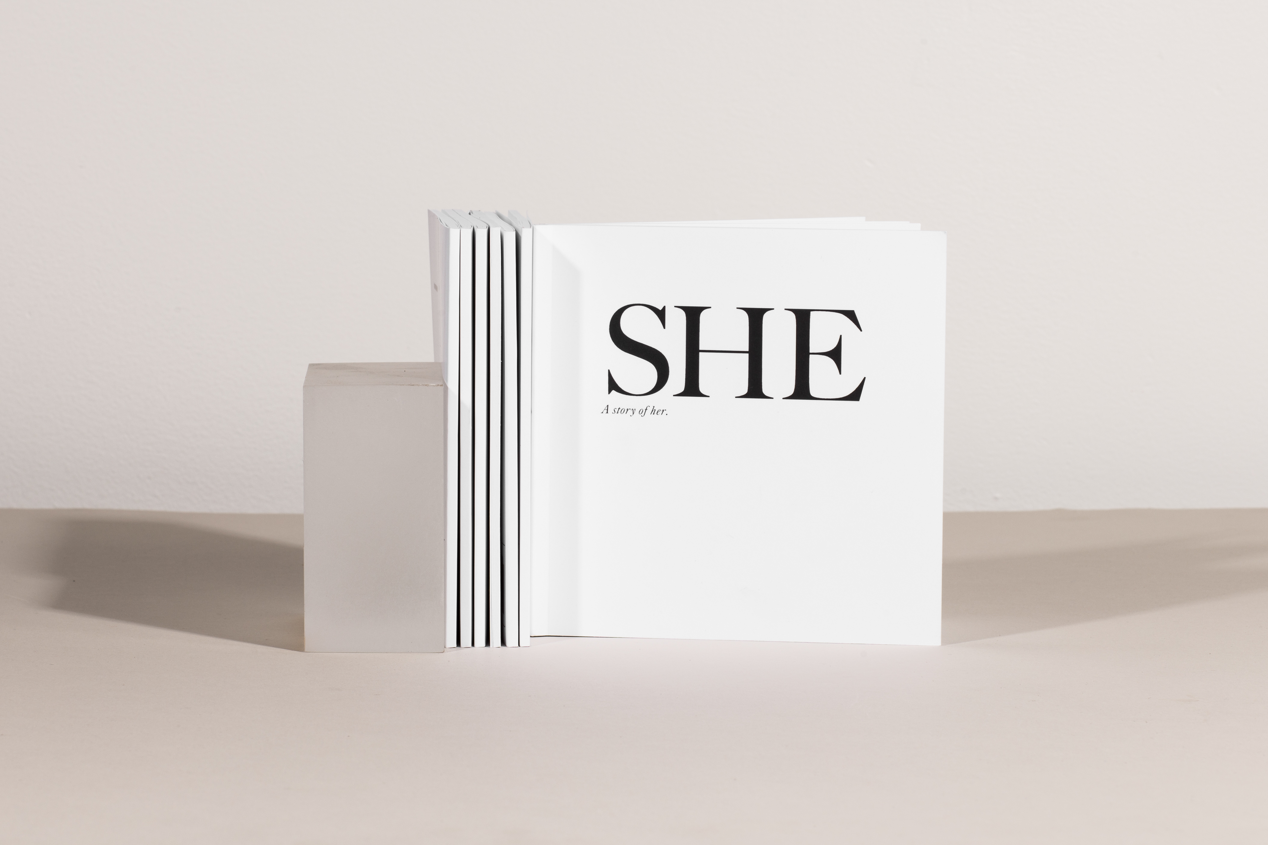 SHE-BOOK-11-1